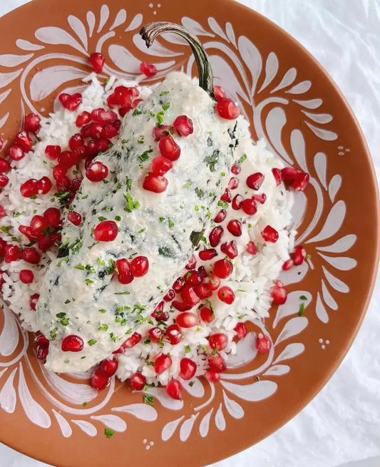 Mexican Porcelain Puebla Dinnerware Collection- Dinner Plate 10.6" CoLores Decor l Mexican Artisan Decor