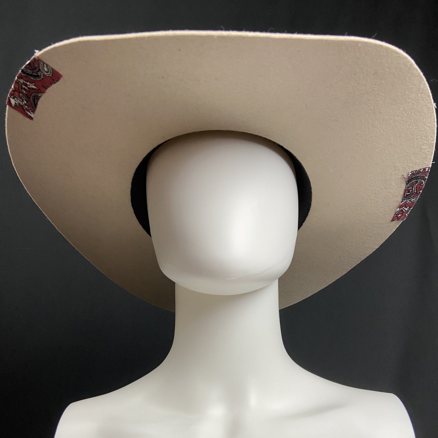 Viva La Vida Wool Felt Cowboy Hat