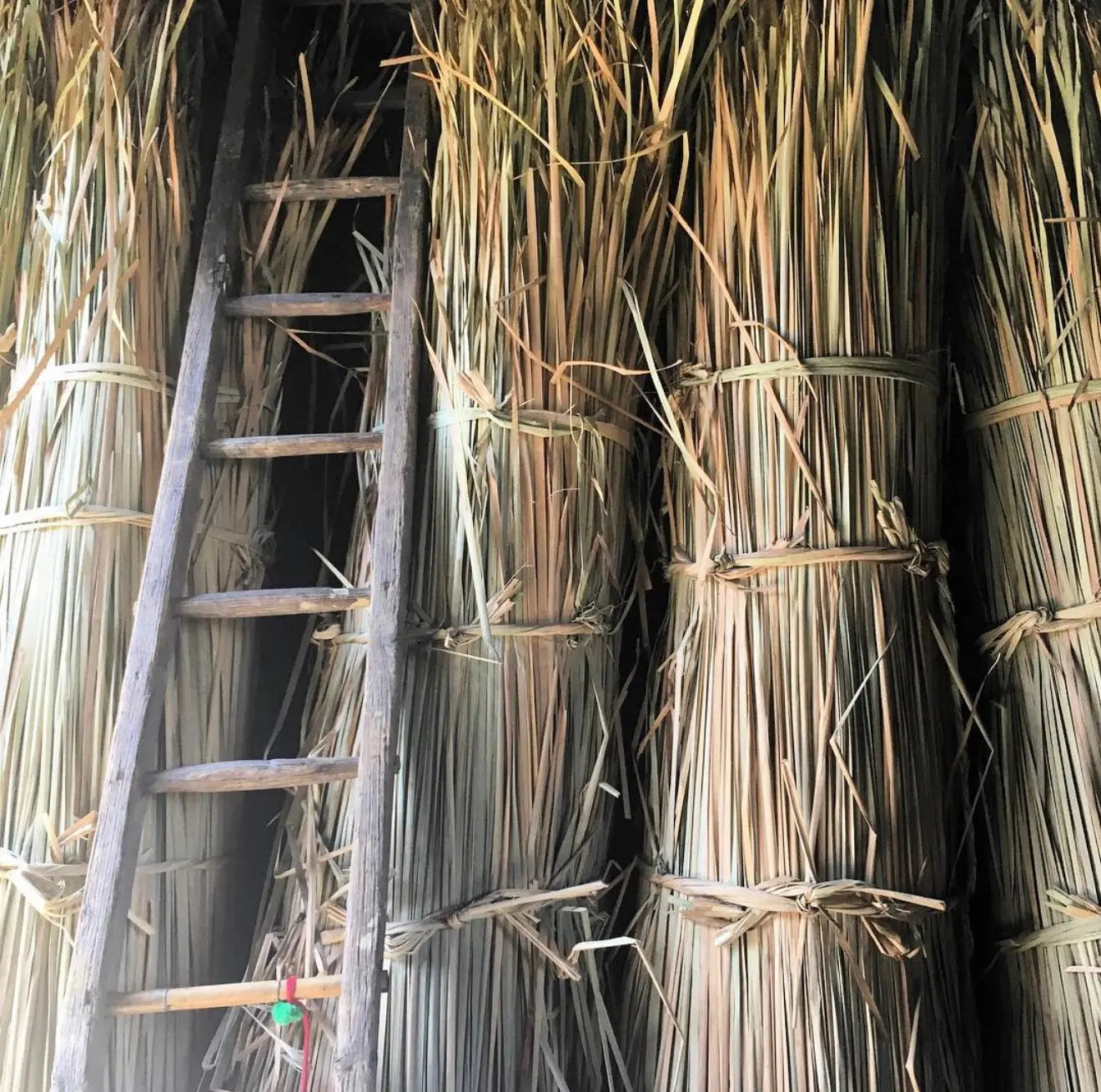 Mexican Handwoven Seaweed 31" Tule Chair CoLores Decor | Mexican Artisan Decor
