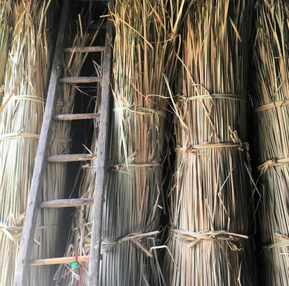 Mexican Handwoven Seaweed 31" Tule Chair CoLores Decor | Mexican Artisan Decor