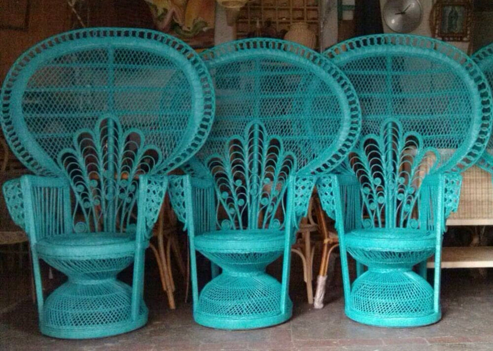 Peacock best sale plastic chair